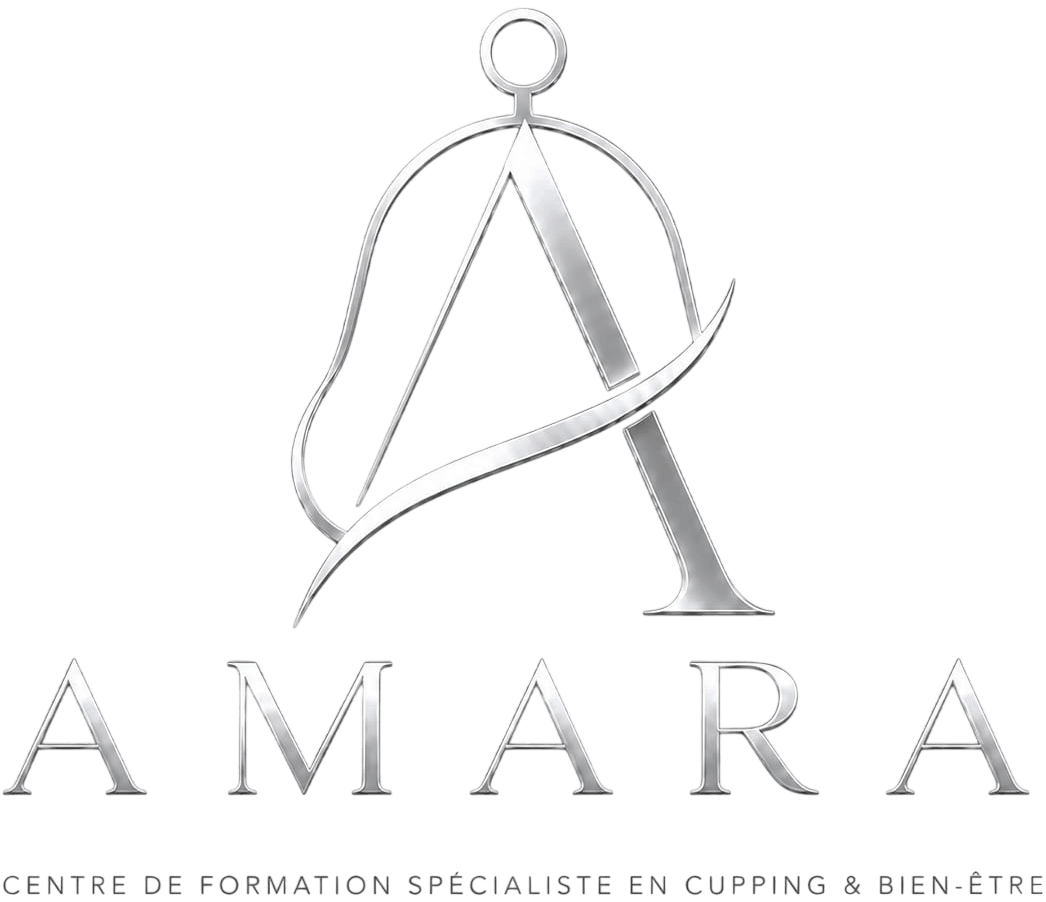 formation hijama